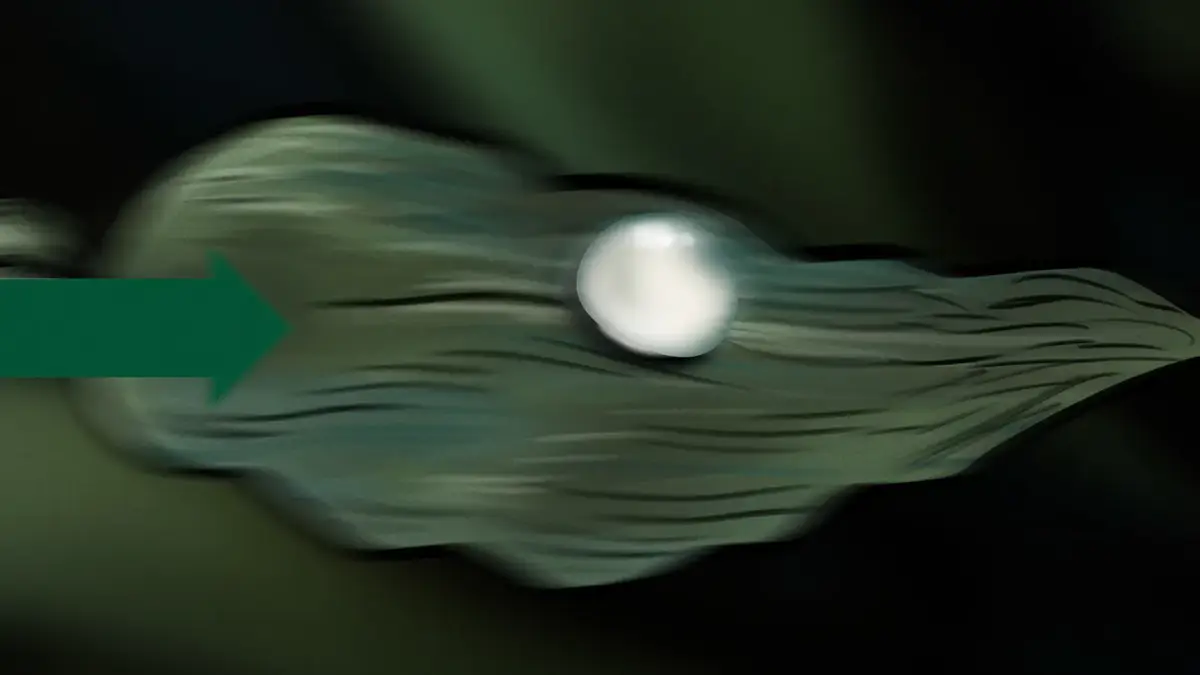 LA MER — image 3