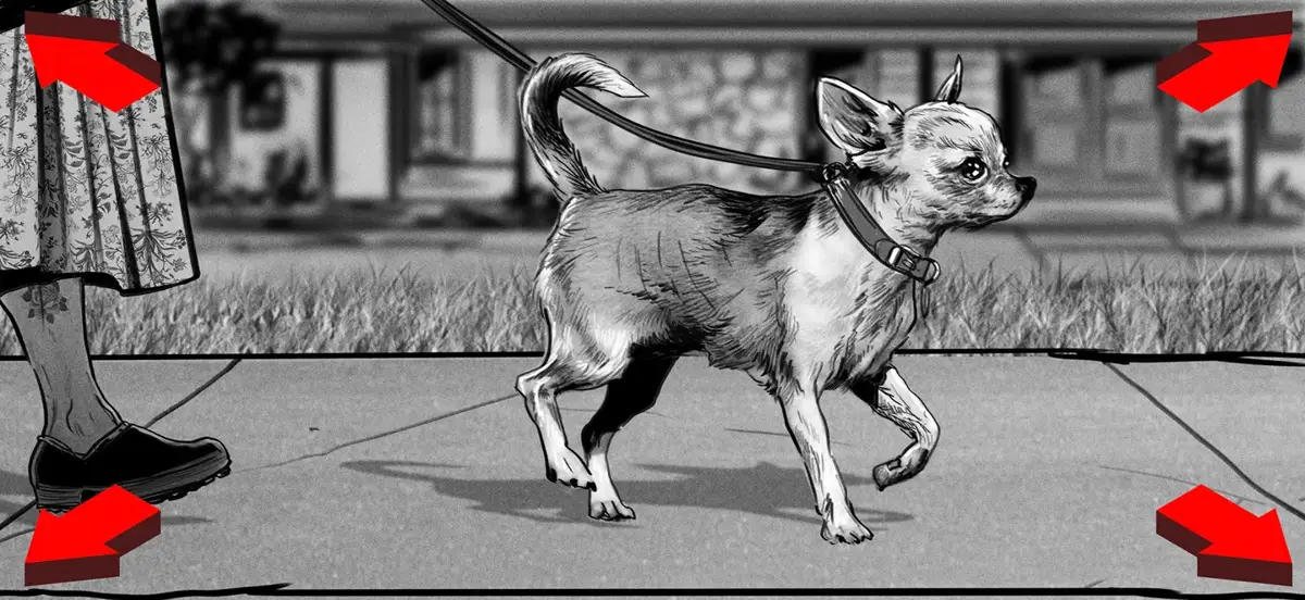 THE FARMER'S DOG — image 22