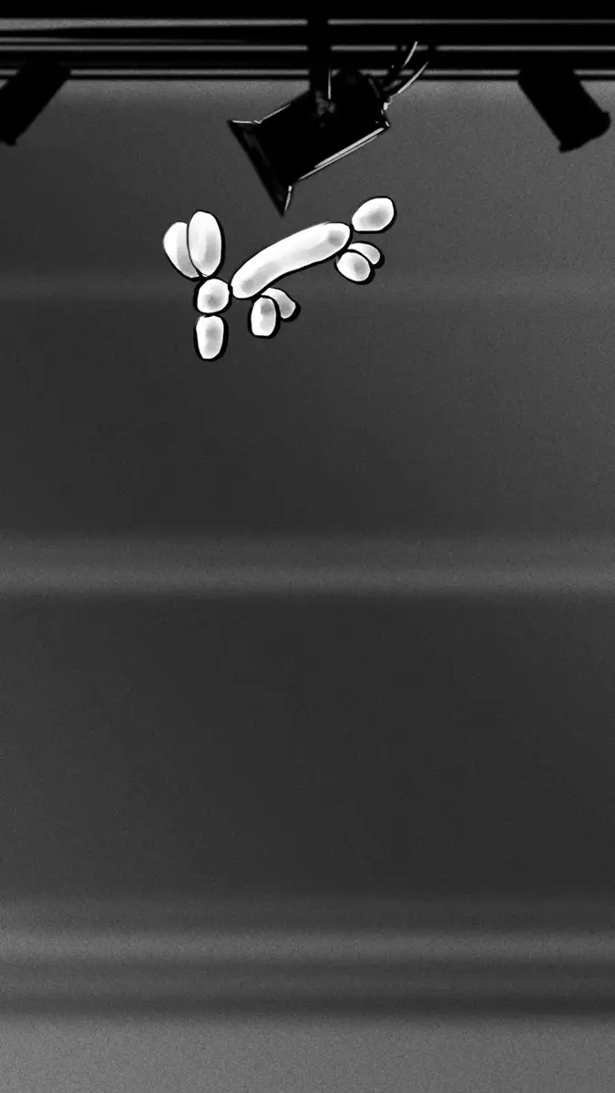 META x RAYBAN — image 58