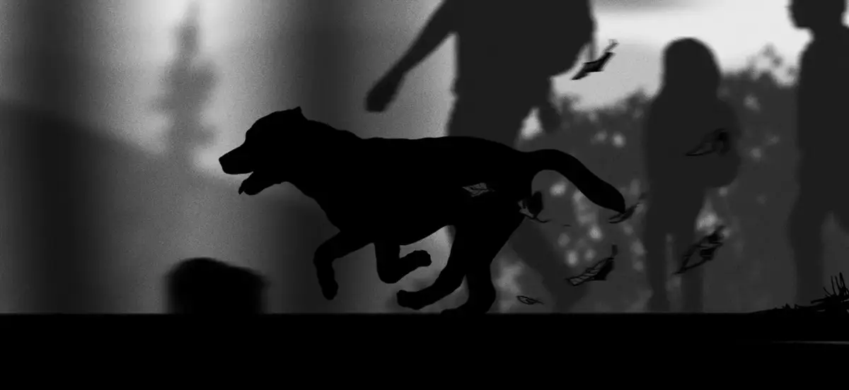 THE FARMER'S DOG — image 9