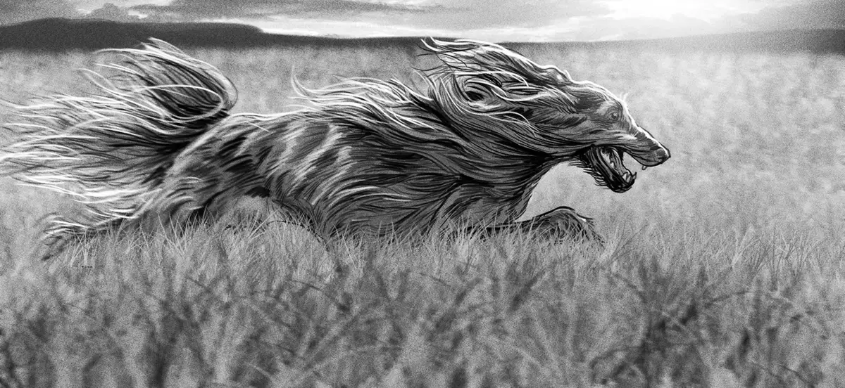 THE FARMER'S DOG — image 2